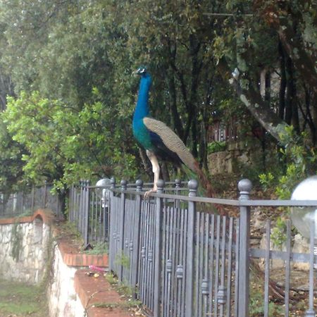 بيرودجا B&B Spring المظهر الخارجي الصورة