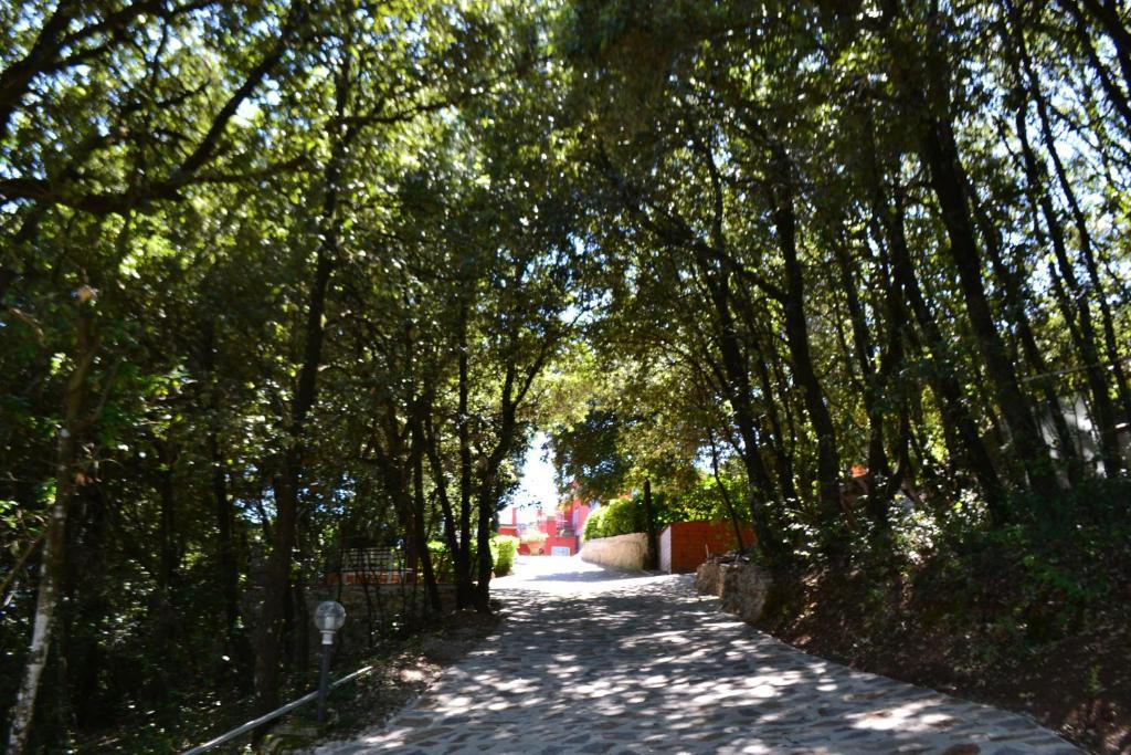 بيرودجا B&B Spring المظهر الخارجي الصورة