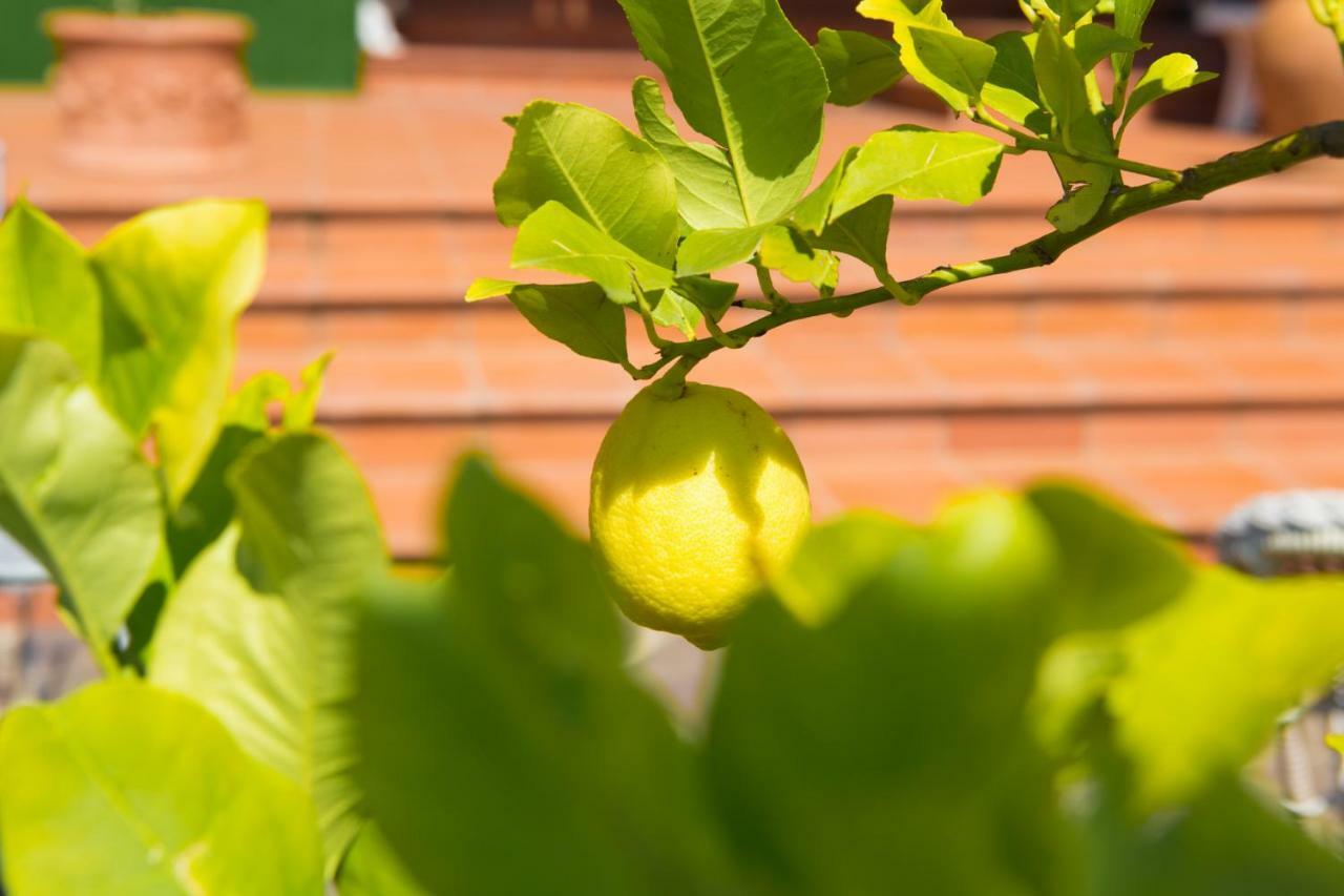 بيرودجا B&B Spring المظهر الخارجي الصورة