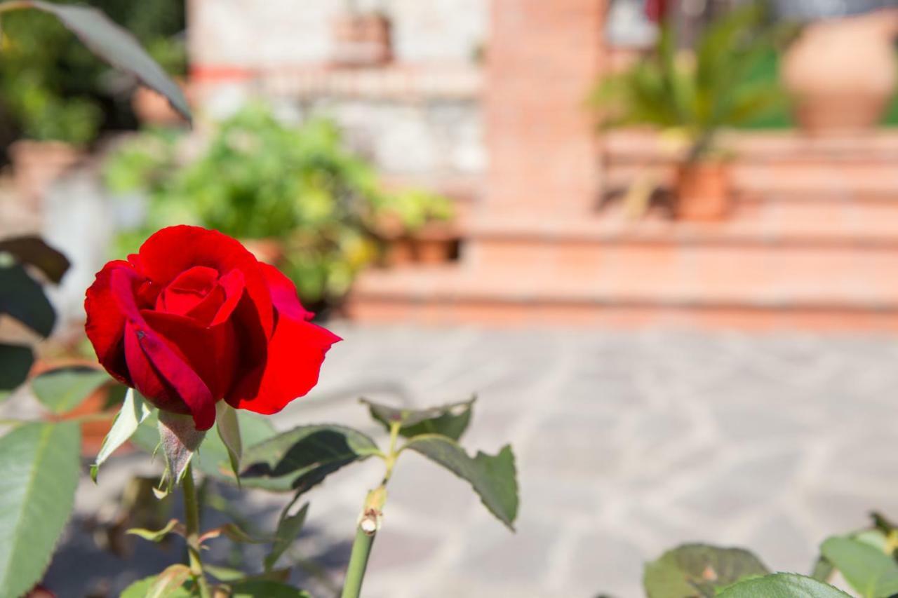 بيرودجا B&B Spring المظهر الخارجي الصورة