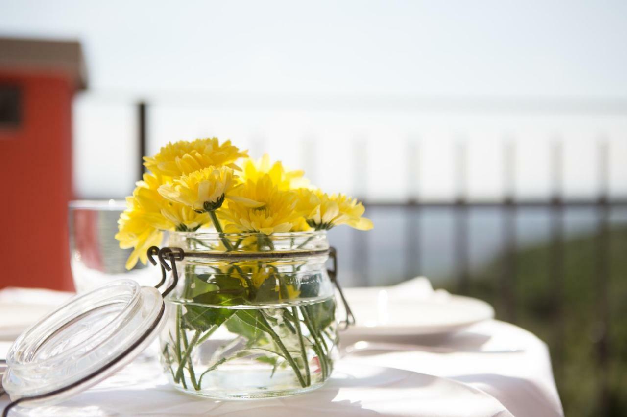 بيرودجا B&B Spring المظهر الخارجي الصورة